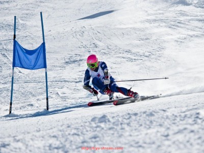 体育直播-日韩球员在CBA联赛的发展现状及挑战分析