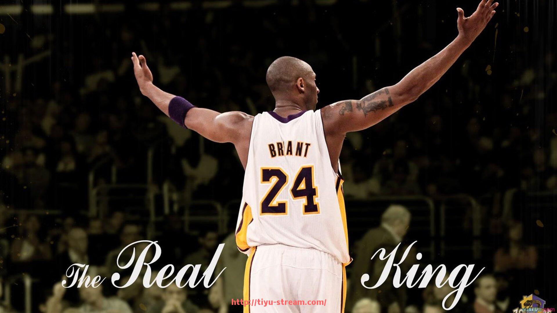 体育直播-意甲右翼派别球队及球迷文化特色解析