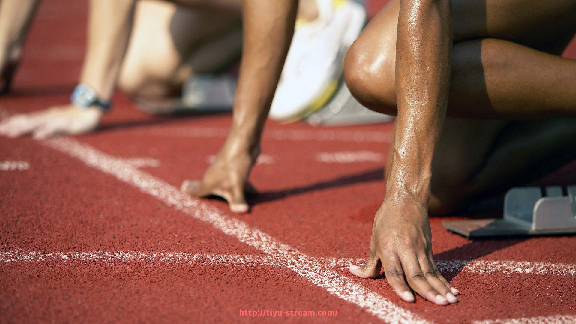 体育直播-世俱杯赛场突发事件盘点及应急处理机制介绍