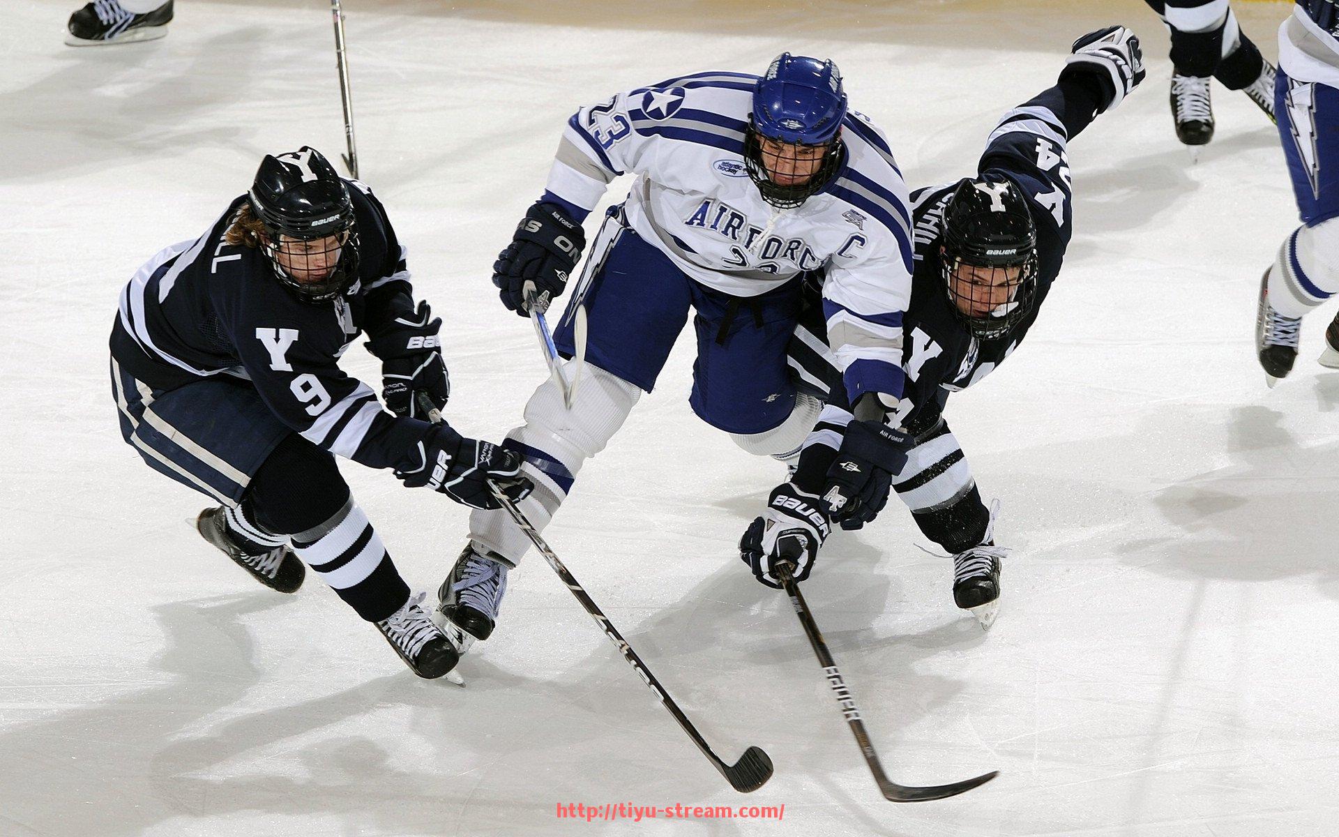 体育直播-世俱杯赞助资金监管流程设计与风险控制研究