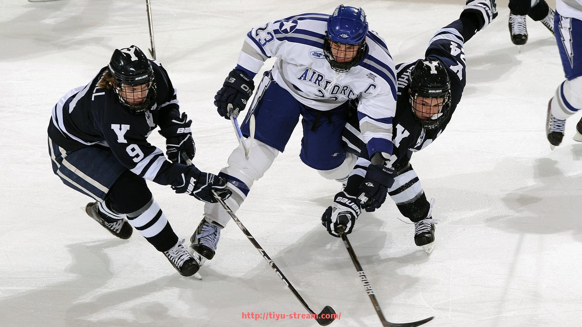 体育直播-关于火箭队最新新闻的权威报道汇总