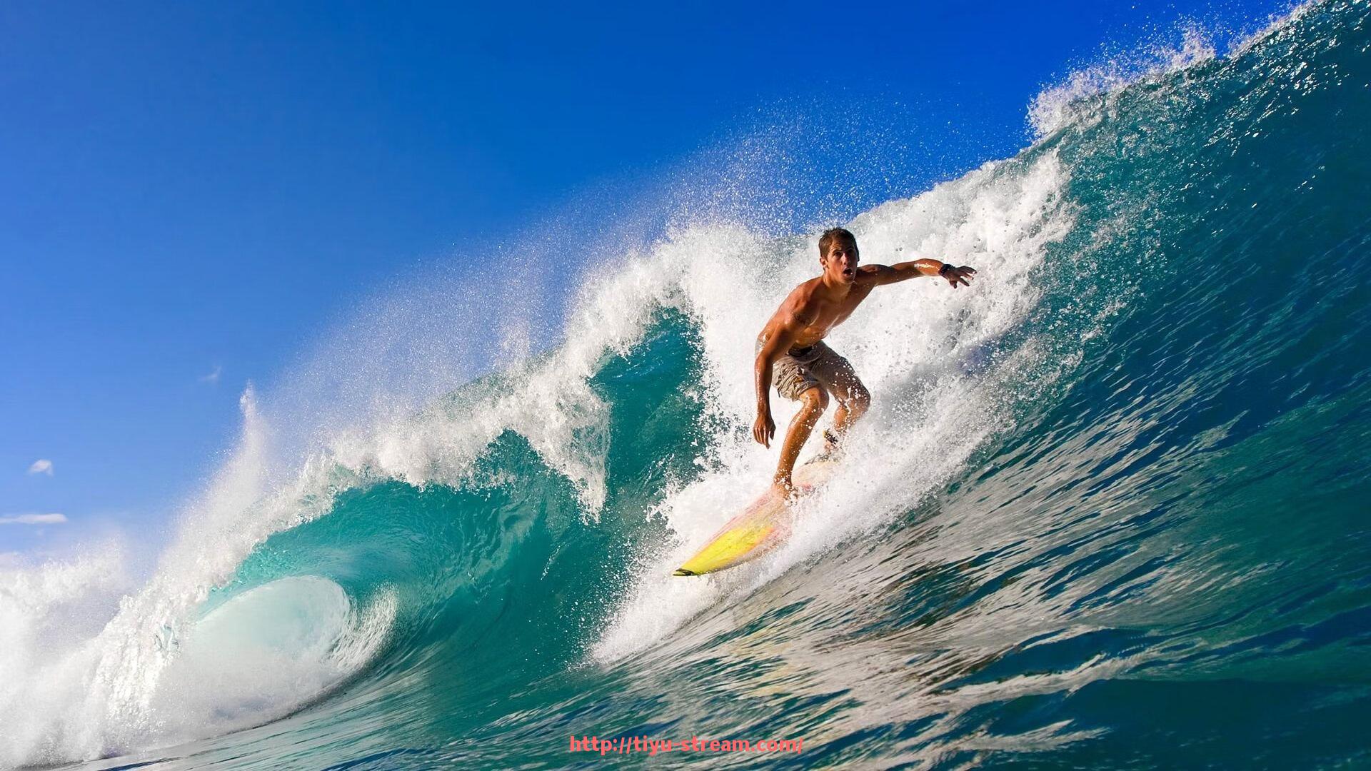 体育直播-德甲与西甲直播视频资源对比及观看推荐