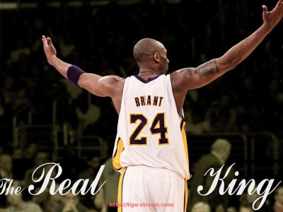 体育直播-意甲右翼派别球队及球迷文化特色解析