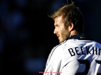 体育直播-体育馆健身器材的选择与配置方案